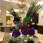 Steigenberger Icon Parkhotel Hotel Dusseldorf
